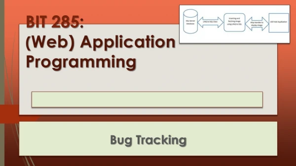 BIT 285 : ( Web) Application Programming