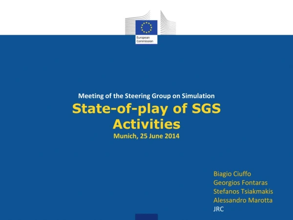 Meeting of the Steering Group on Simulation State-of-play of SGS Activities Munich, 25 June 2014