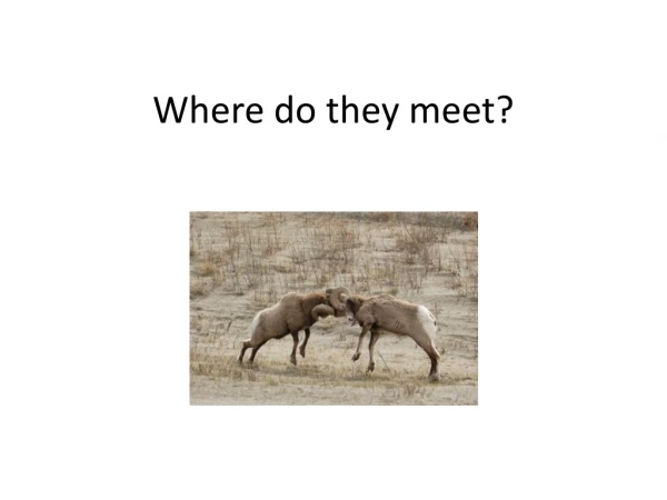 Where do they meet?