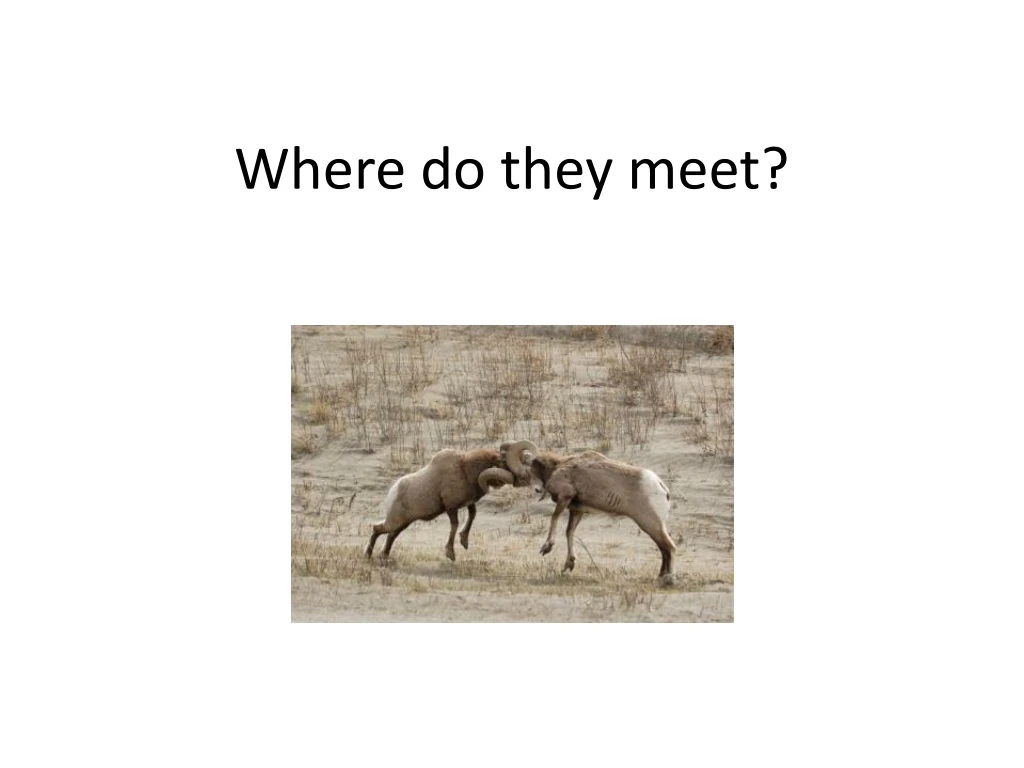 where do they meet