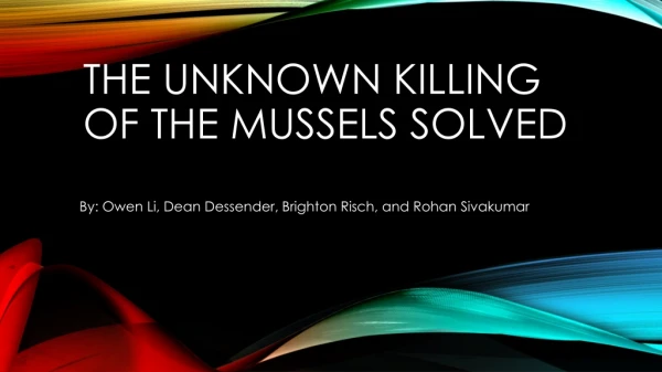 The unknown killing of the Mussels Solved