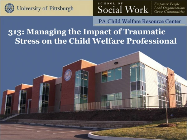 313: Managing the Impact of Traumatic Stress on the Child Welfare Professional