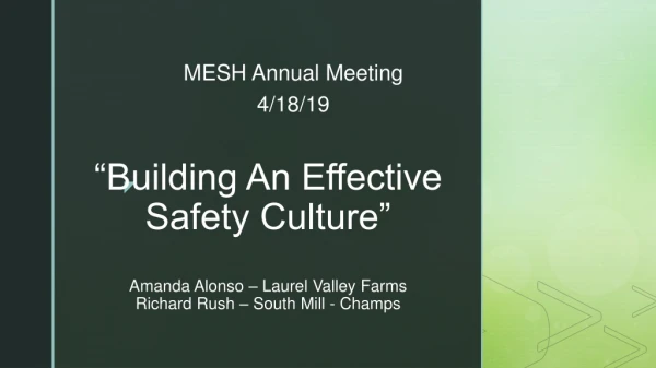 MESH Annual Meeting 4/18/19
