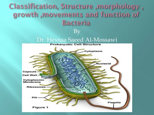 Classification, Structure ,morphology , growth ,movements and function of Bacteria