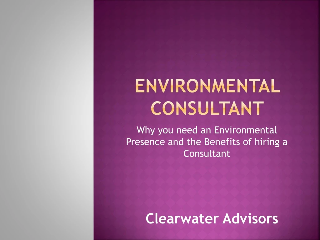environmental consultant