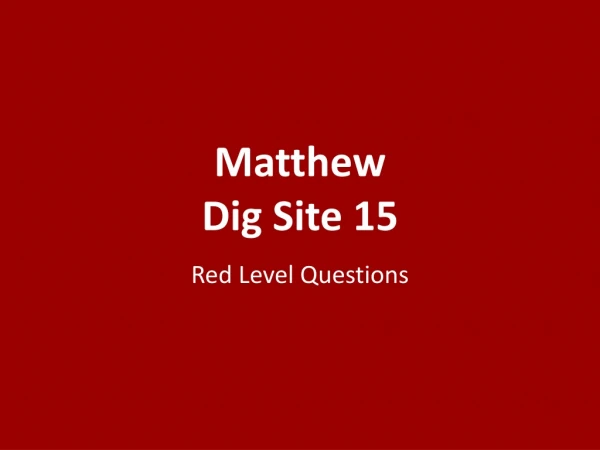 Matthew Dig Site 15