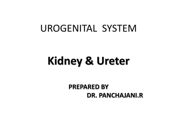 UROGENITAL SYSTEM