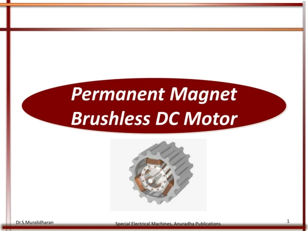Permanent Magnet Brushless DC Motor