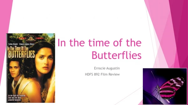 In the time of the Butterflies