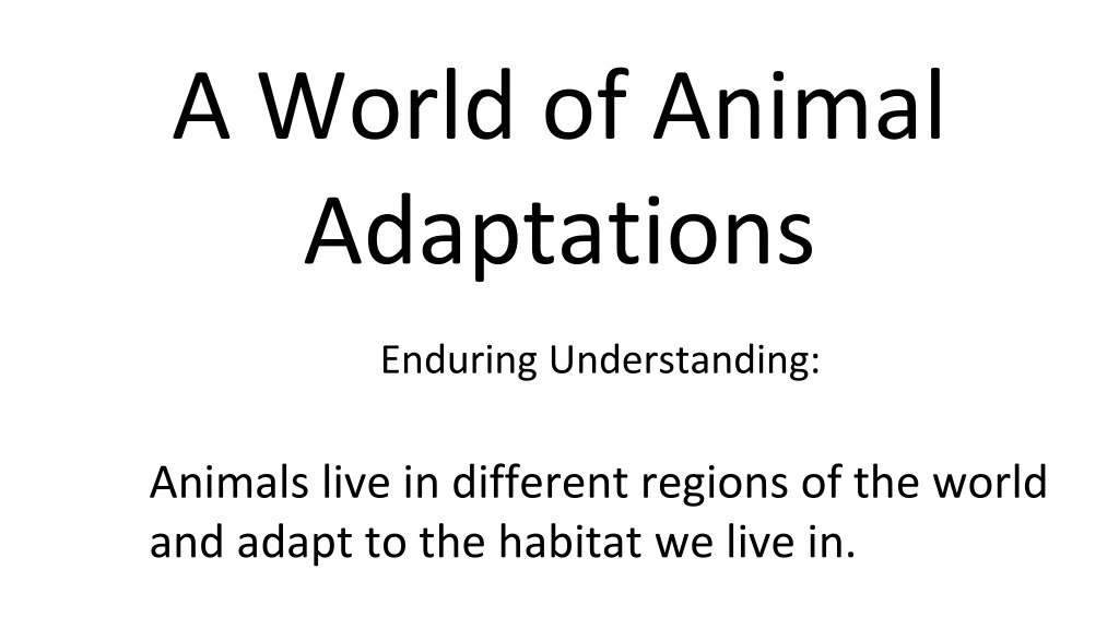 a world of animal adaptations