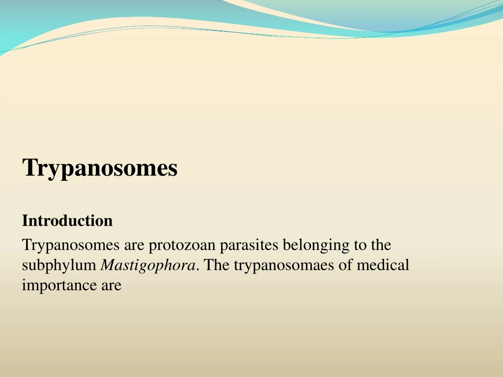 trypanosomes introduction trypanosomes