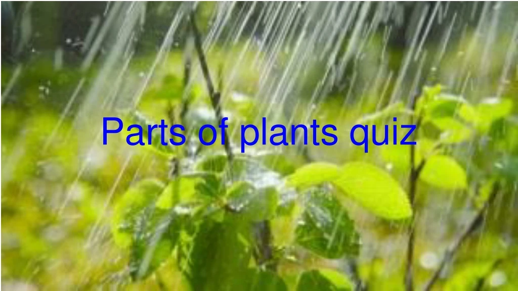 parts of plants quiz