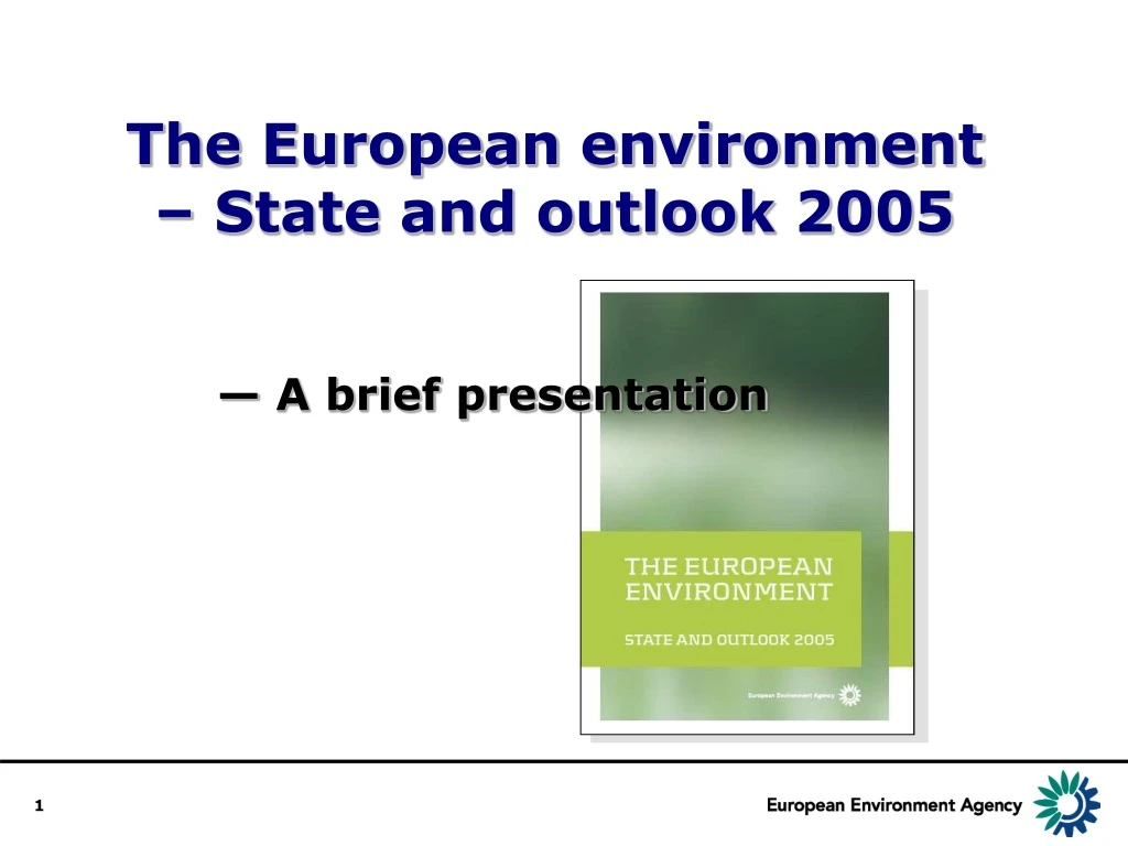 the european environment state and outlook 2005