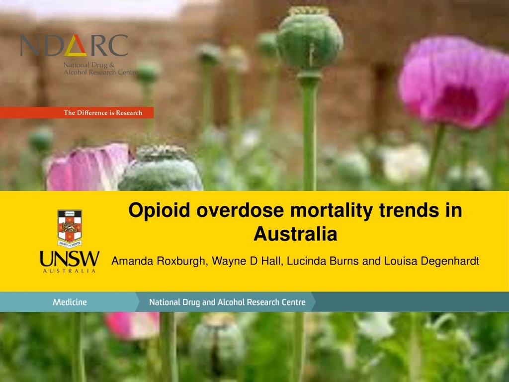 opioid overdose mortality trends in australia