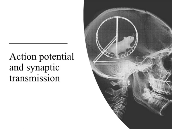 Action potential and synaptic transmission