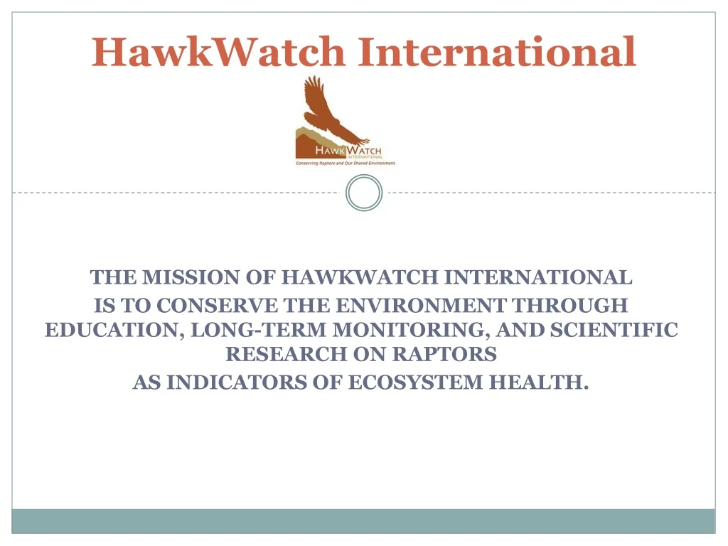 hawkwatch international