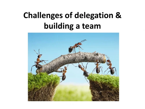Challenges of delegation &amp; building a team