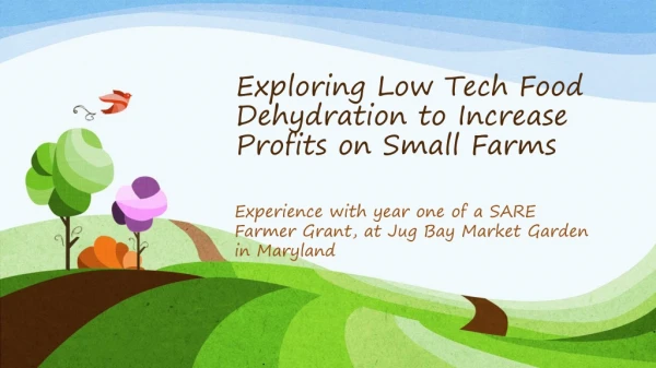 Exploring Low Tech Food Dehydration to Increase Profits on Small Farms