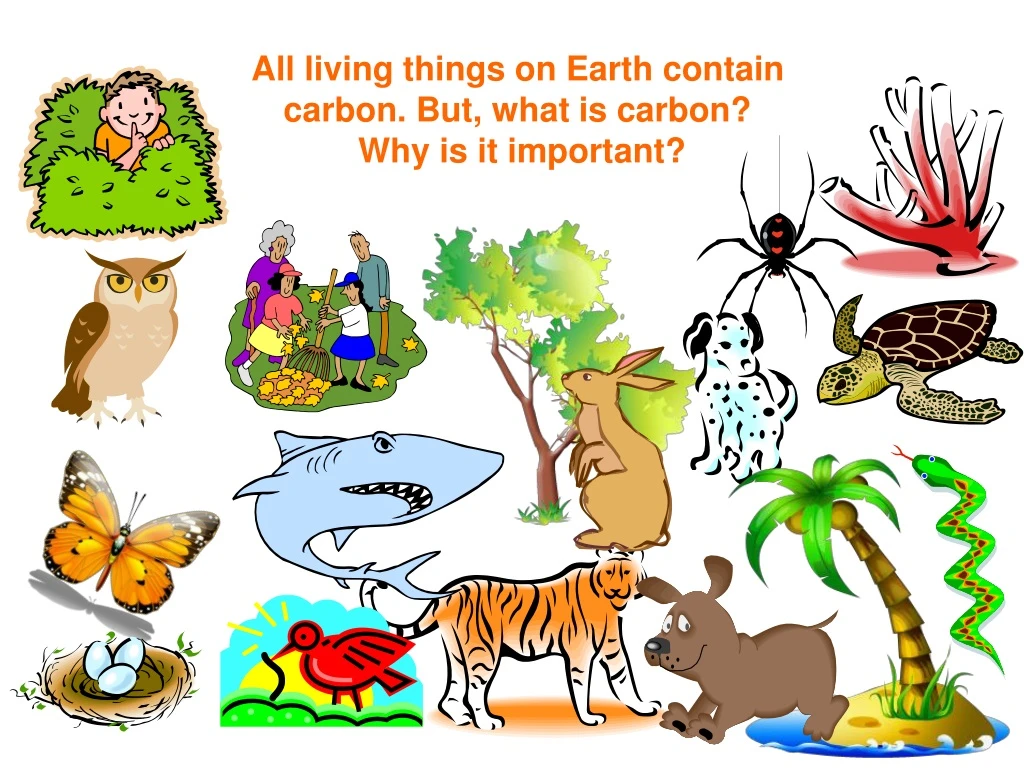 all living things on earth contain carbon but what is carbon why is it important