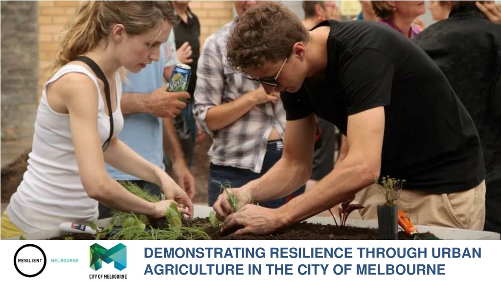 demonstrating resilience through urban