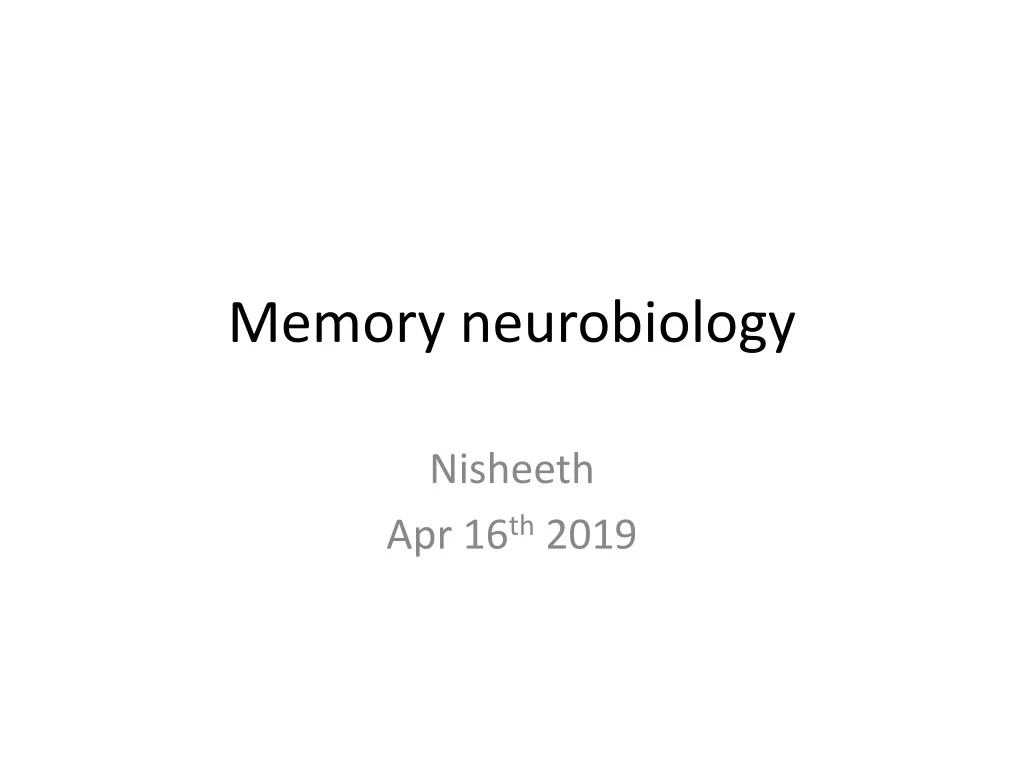 memory neurobiology