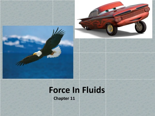 Force In Fluids Chapter 11