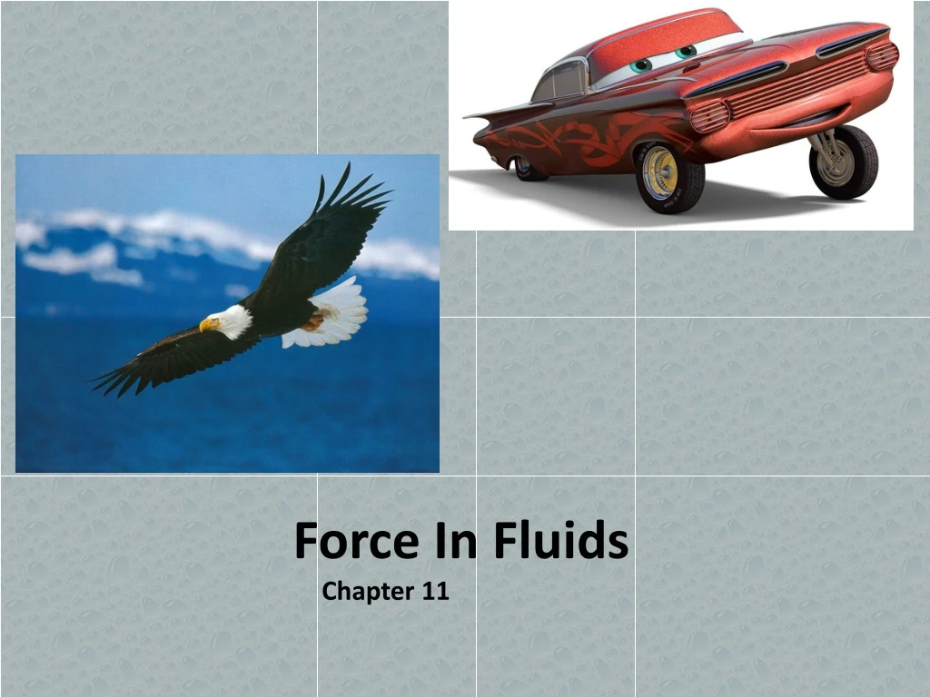 force in fluids chapter 11