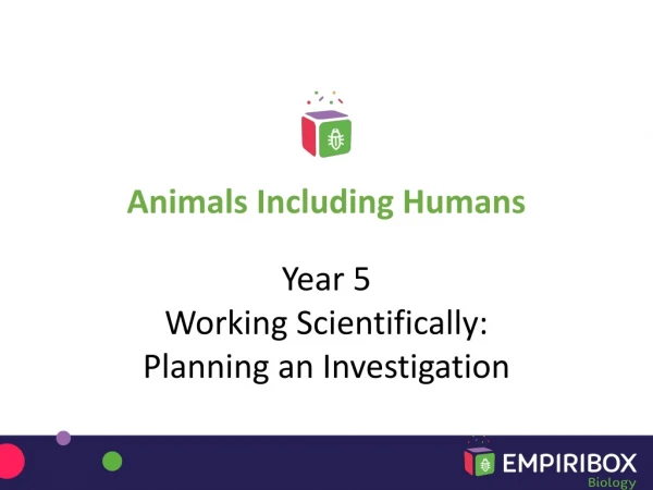 Year 5 Working Scientifically: Planning an Investigation