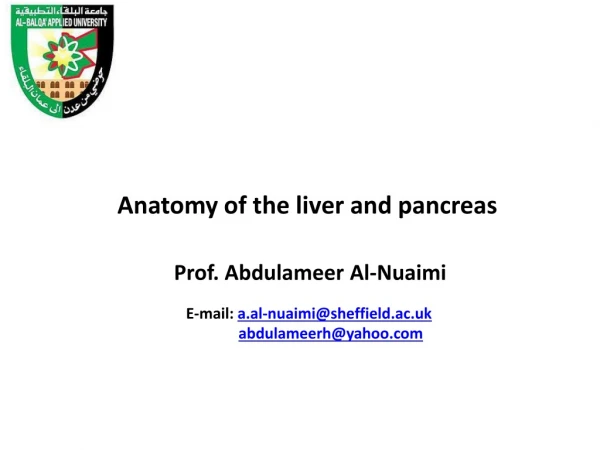 Anatomy of the liver and pancreas