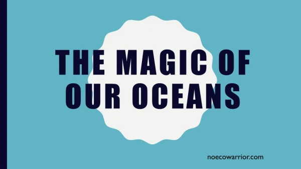 THE MAGIC OF OUR OCEANS