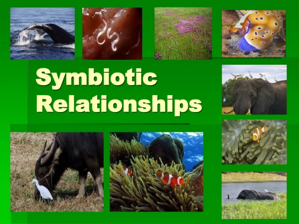 Symbiotic Relationships