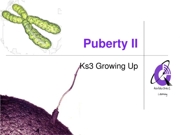 Puberty II
