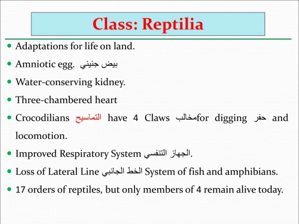 Adaptations for life on land. Amniotic egg. بيض جنيني Water-conserving kidney.