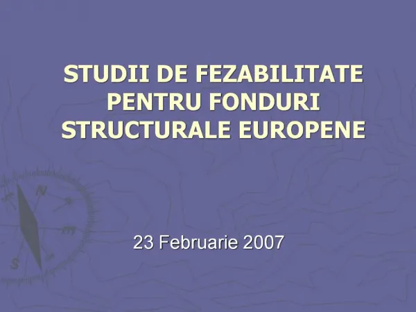 STUDII DE FEZABILITATE PENTRU FONDURI STRUCTURALE EUROPENE