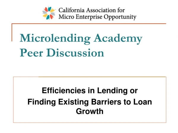 Microlending Academy Peer Discussion