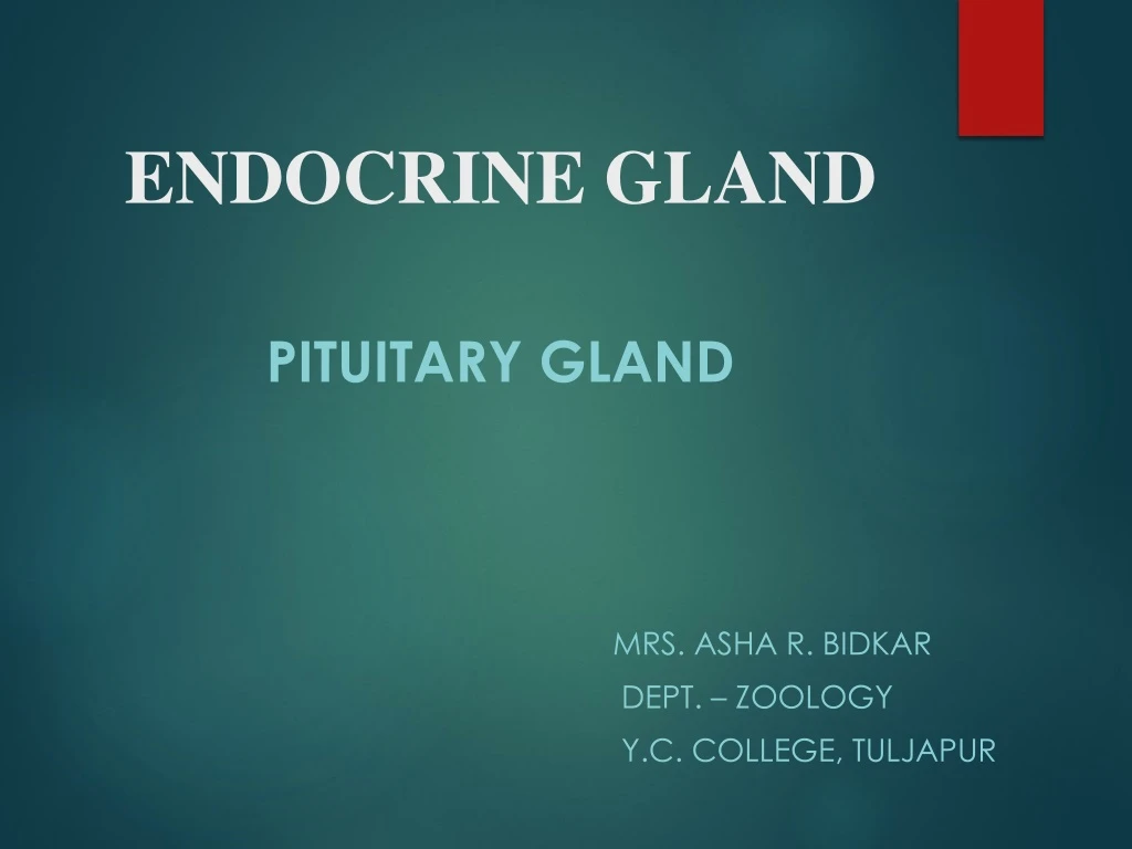 endocrine gland