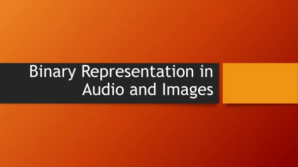 Binary Representation in Audio and Images