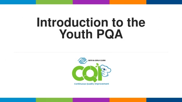 Introduction to the Youth PQA