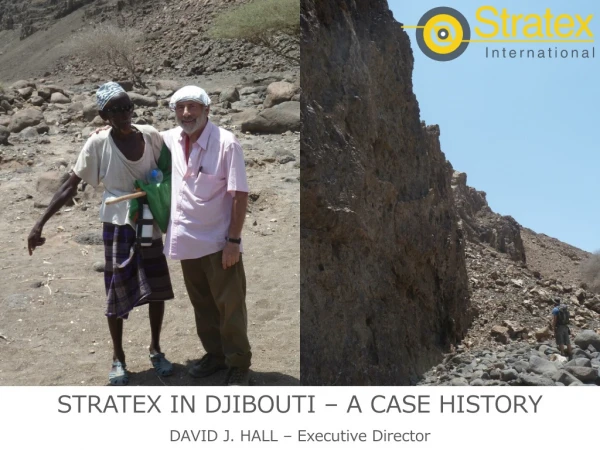 STRATEX IN DJIBOUTI – A CASE HISTORY DAVID J. HALL – Executive Director