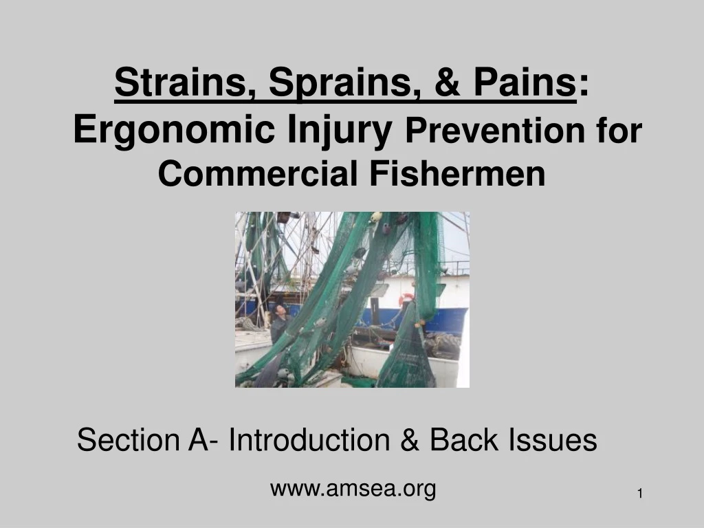 strains sprains pains ergonomic injury prevention