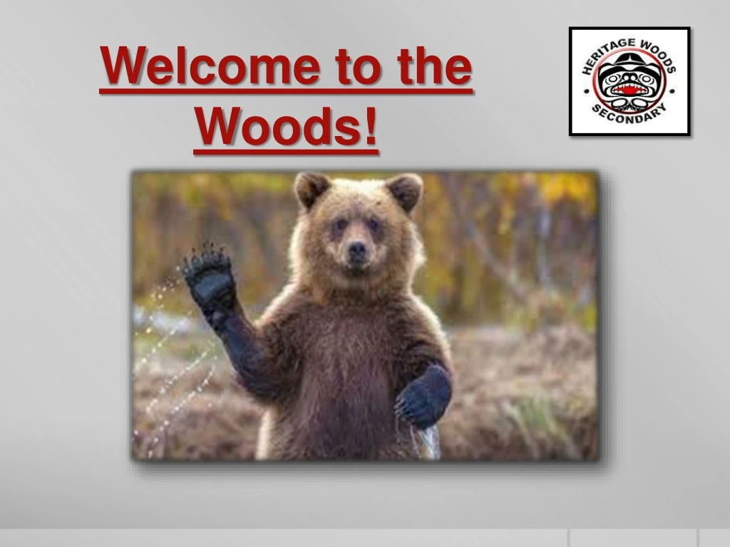 welcome to the woods