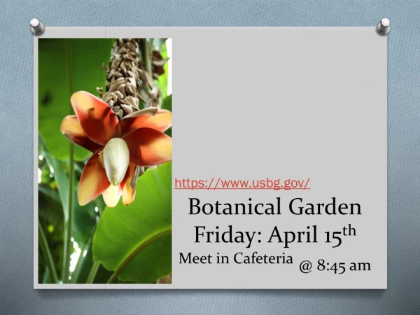 Botanical Garden Friday: April 15 th Meet in Cafeteria @ 8:45 am