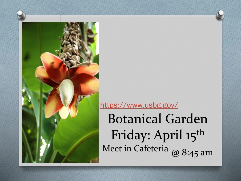 botanical garden friday april 15 th meet in cafeteria @ 8 45 am