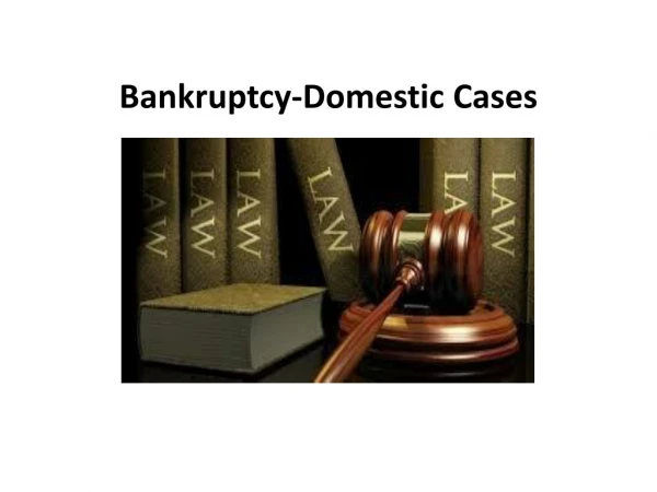 Bankruptcy-Domestic Cases