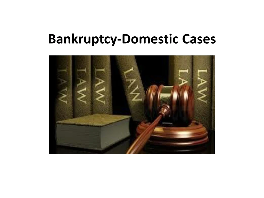 bankruptcy domestic cases