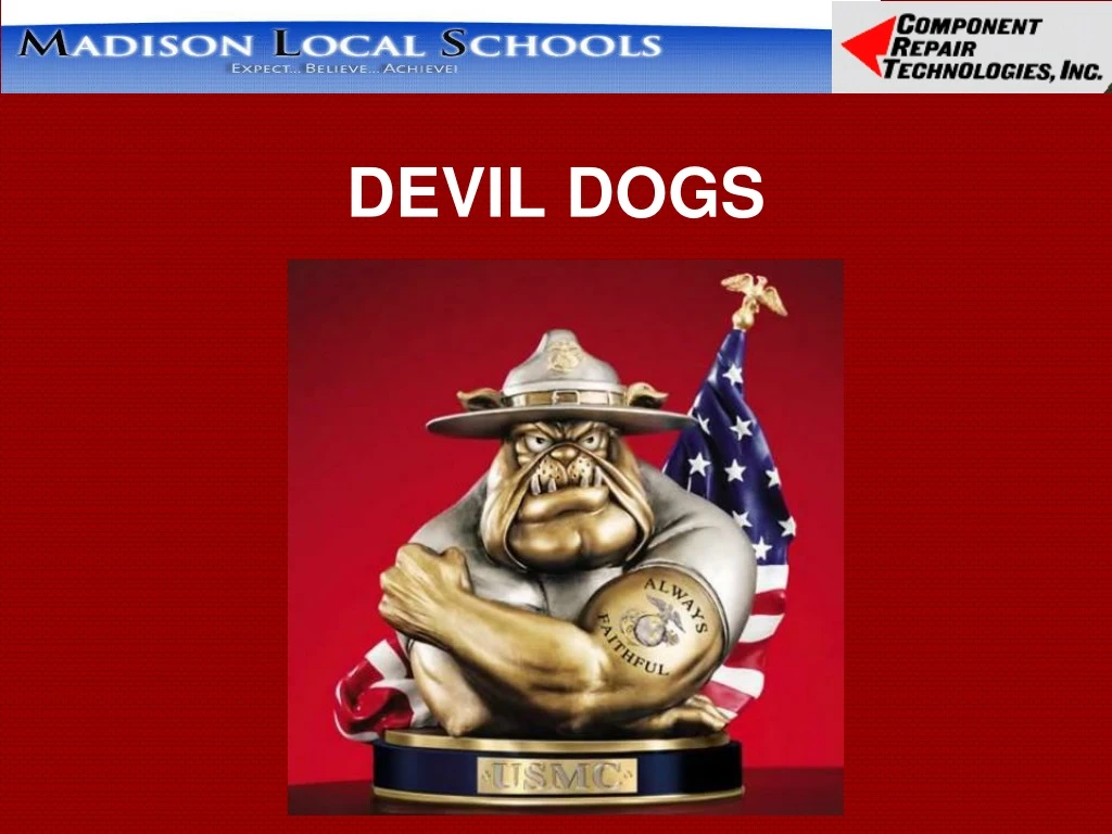 devil dogs