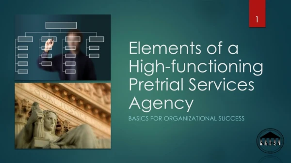Elements of a High-functioning Pretrial Services Agency