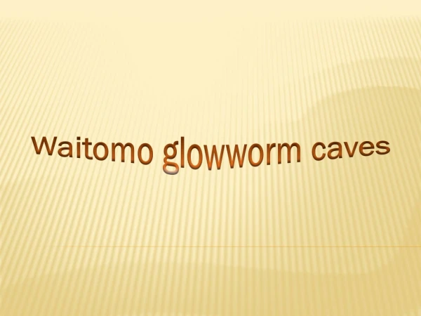 Waitomo glowworm caves