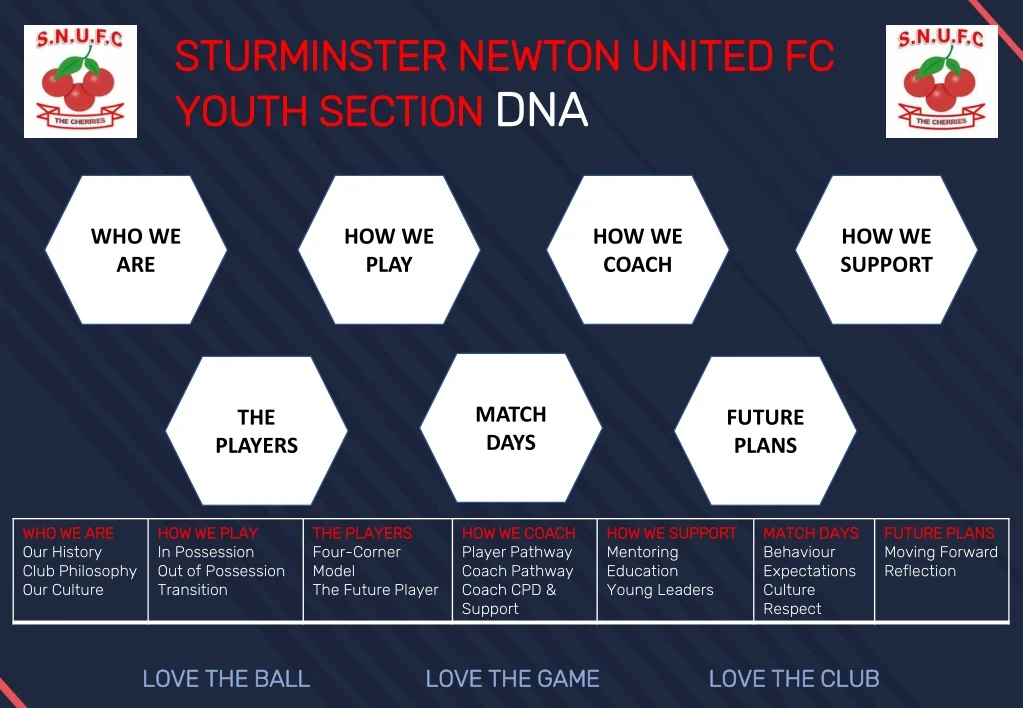 sturminster newton united fc youth section dna