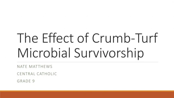 The Effect of Crumb-Turf Microbial Survivorship